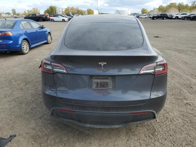  TESLA MODEL Y 2023 Серый
