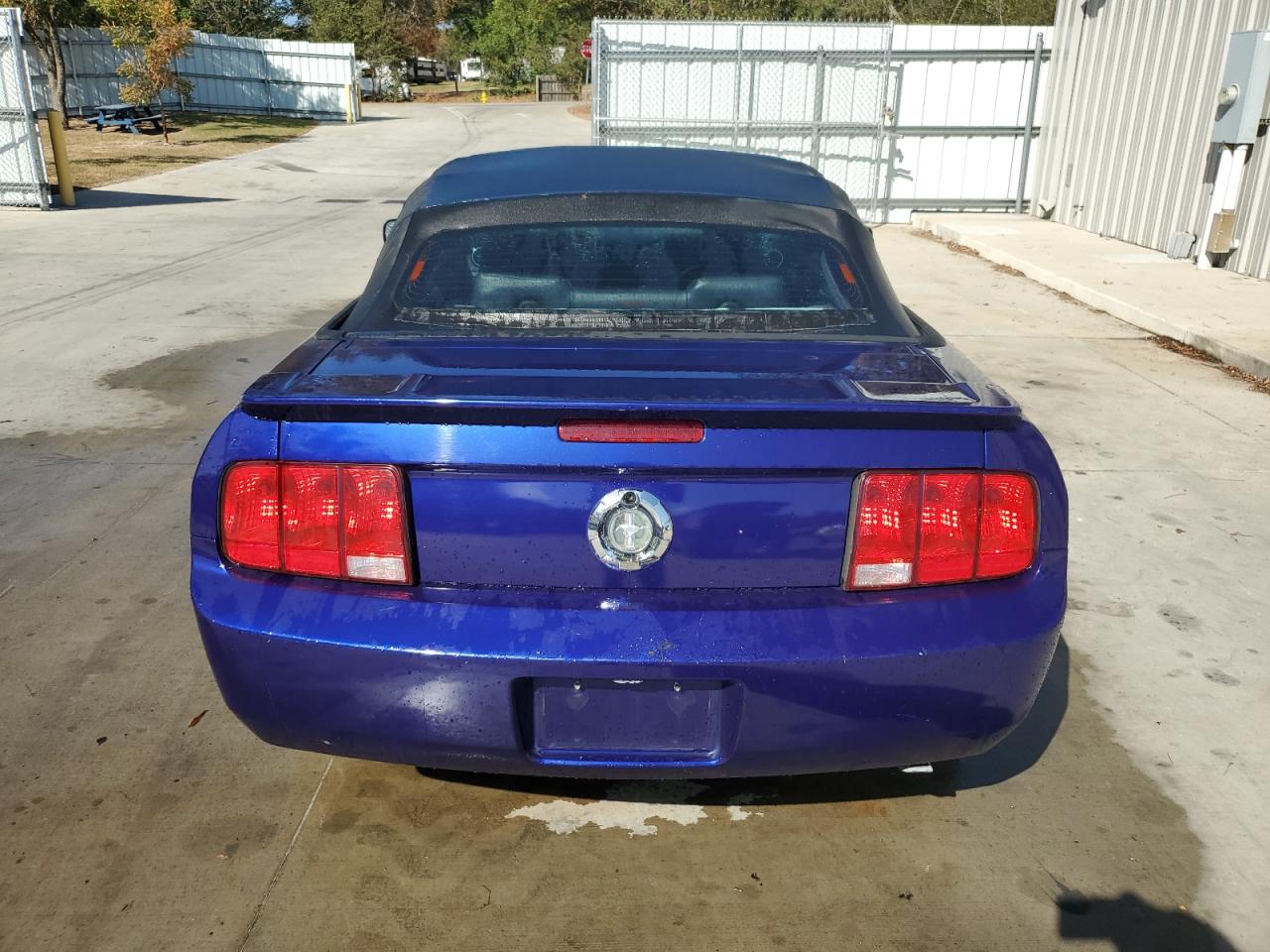 2008 Ford Mustang VIN: 1ZVHT84NX85186706 Lot: 77592934