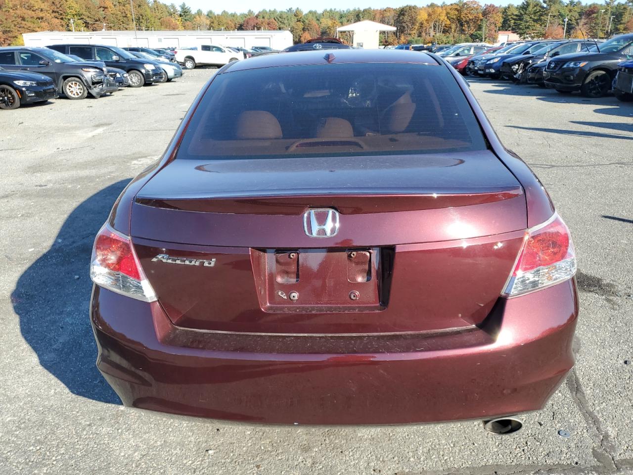 2010 Honda Accord Exl VIN: 1HGCP2F83AA145256 Lot: 76873314