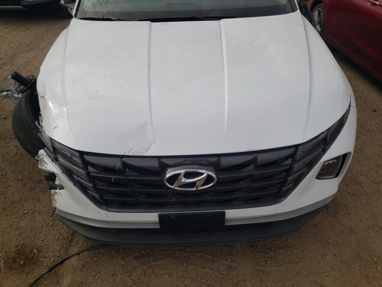 VIN KM8JCCD19RU159696 2024 HYUNDAI TUCSON no.11