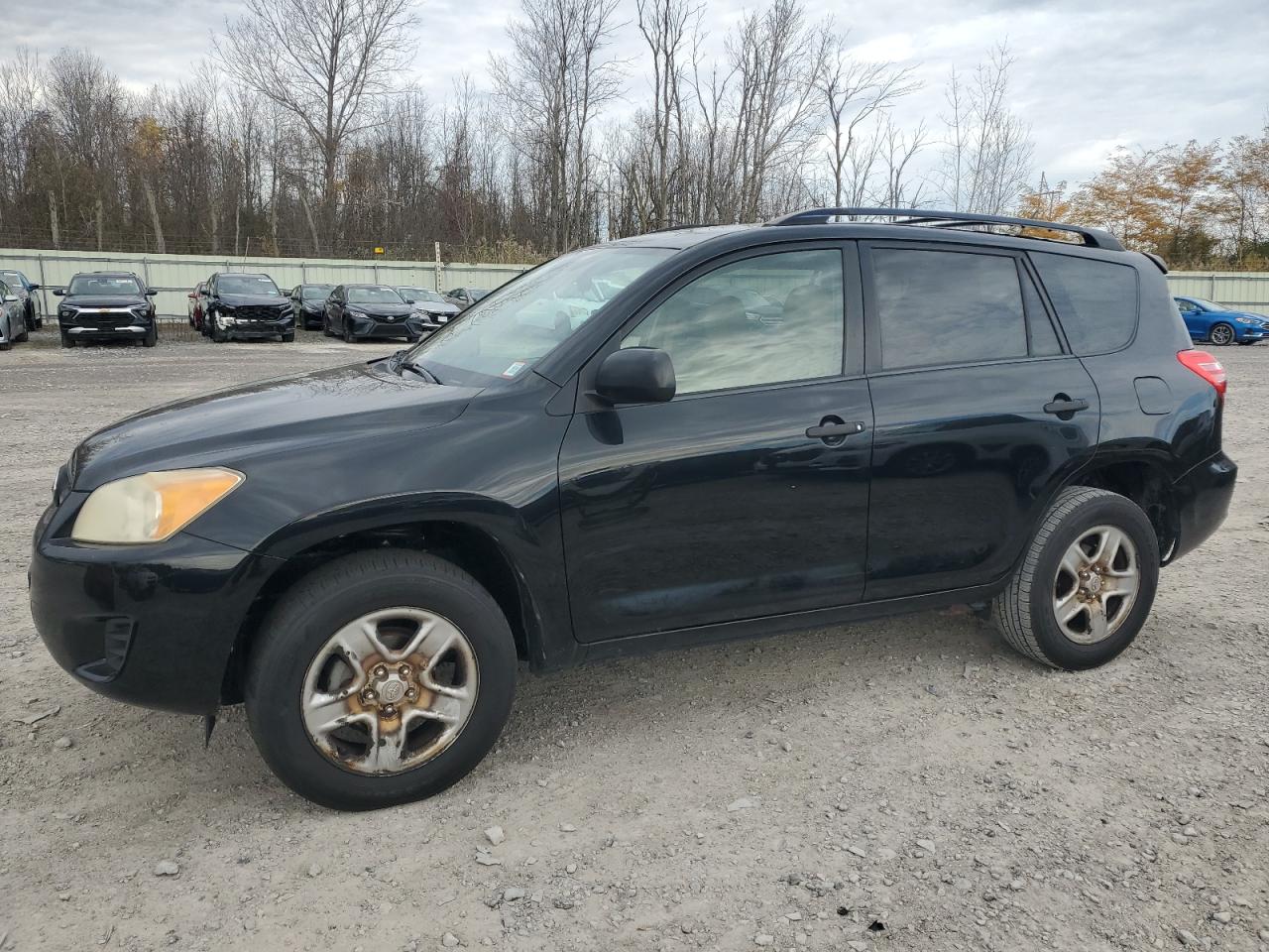 2011 Toyota Rav4 VIN: JTMZF4DV3B5032885 Lot: 77781214