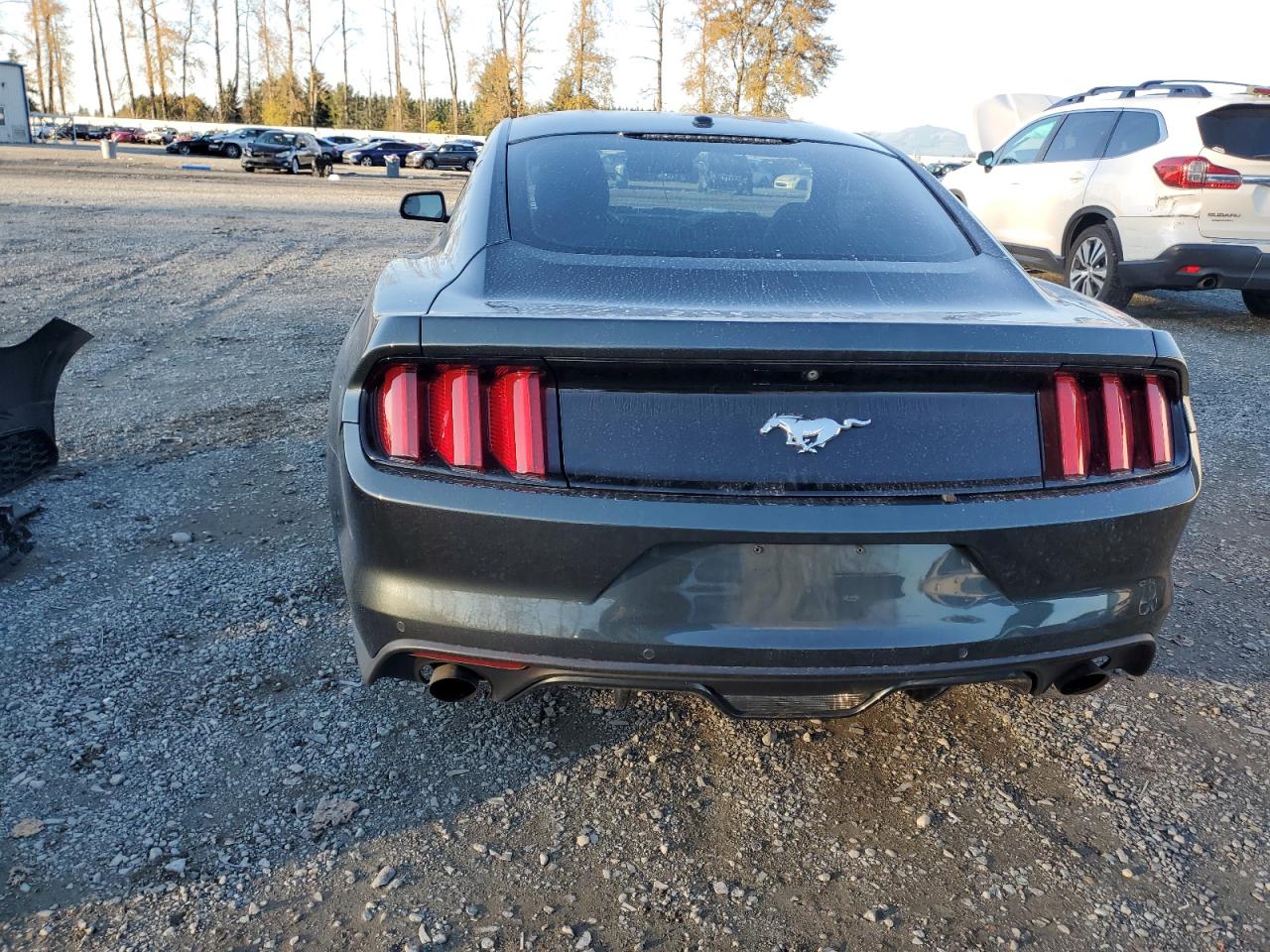 2015 Ford Mustang VIN: 1FA6P8TH5F5301791 Lot: 77036324