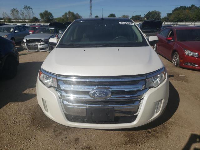  FORD EDGE 2013 Білий