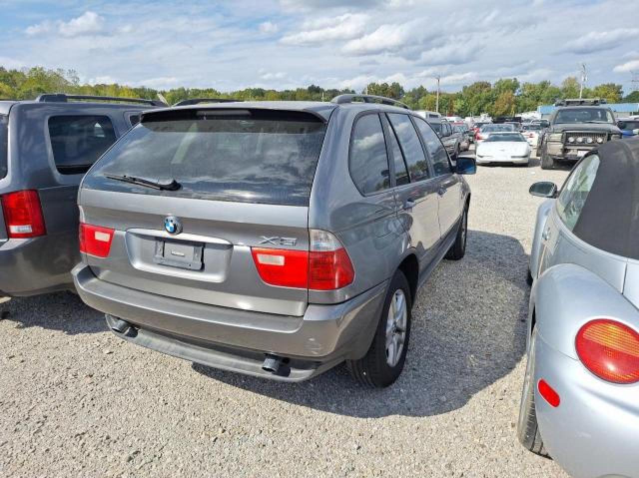 2004 BMW X5 3.0I VIN: 5UXFA13514LU37318 Lot: 76576434