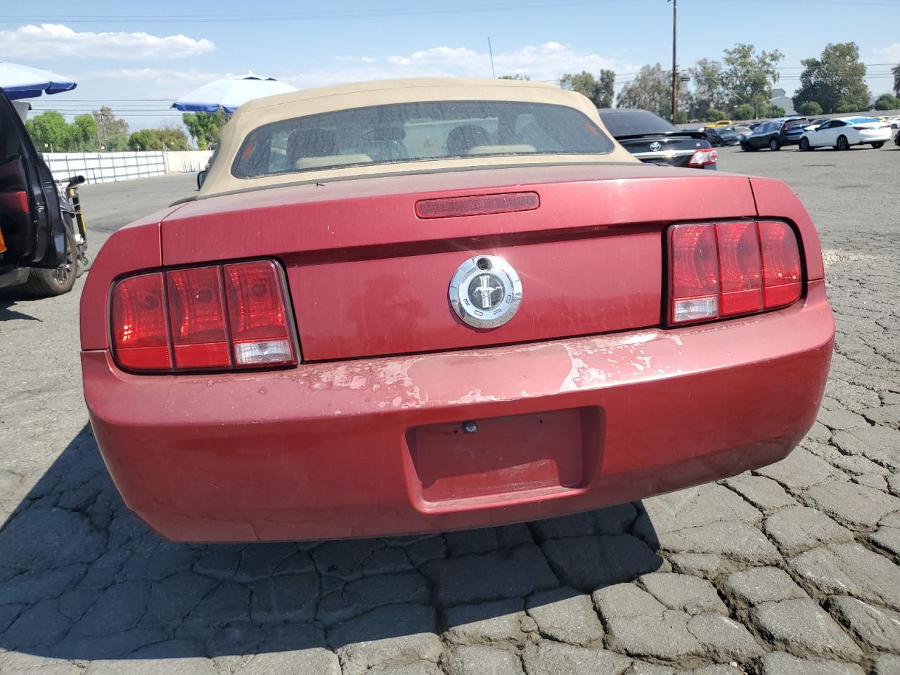 2008 Ford Mustang VIN: 1ZVHT84N785120713 Lot: 74585614