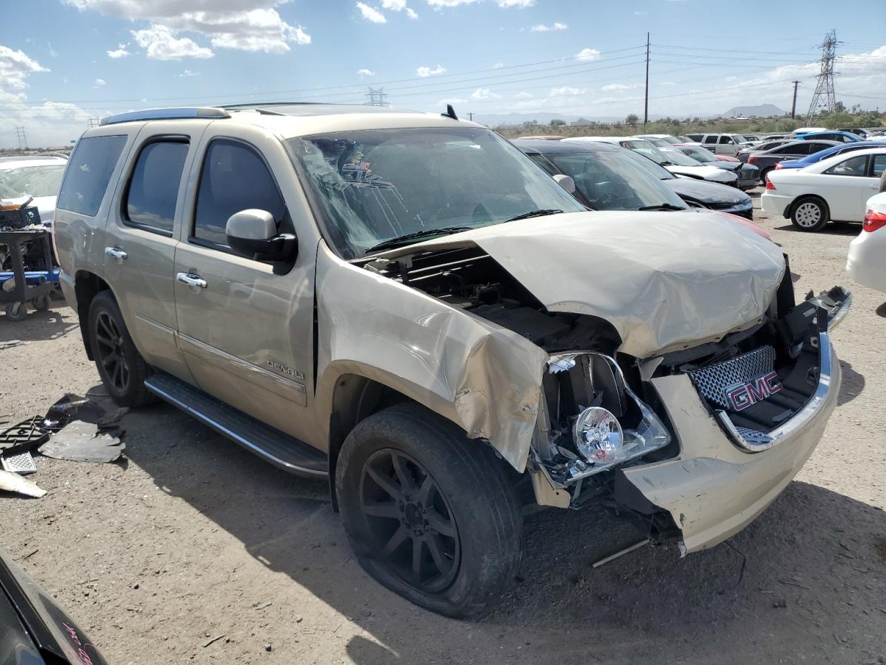 1GKUKEEF3AR103209 2010 GMC Yukon Denali