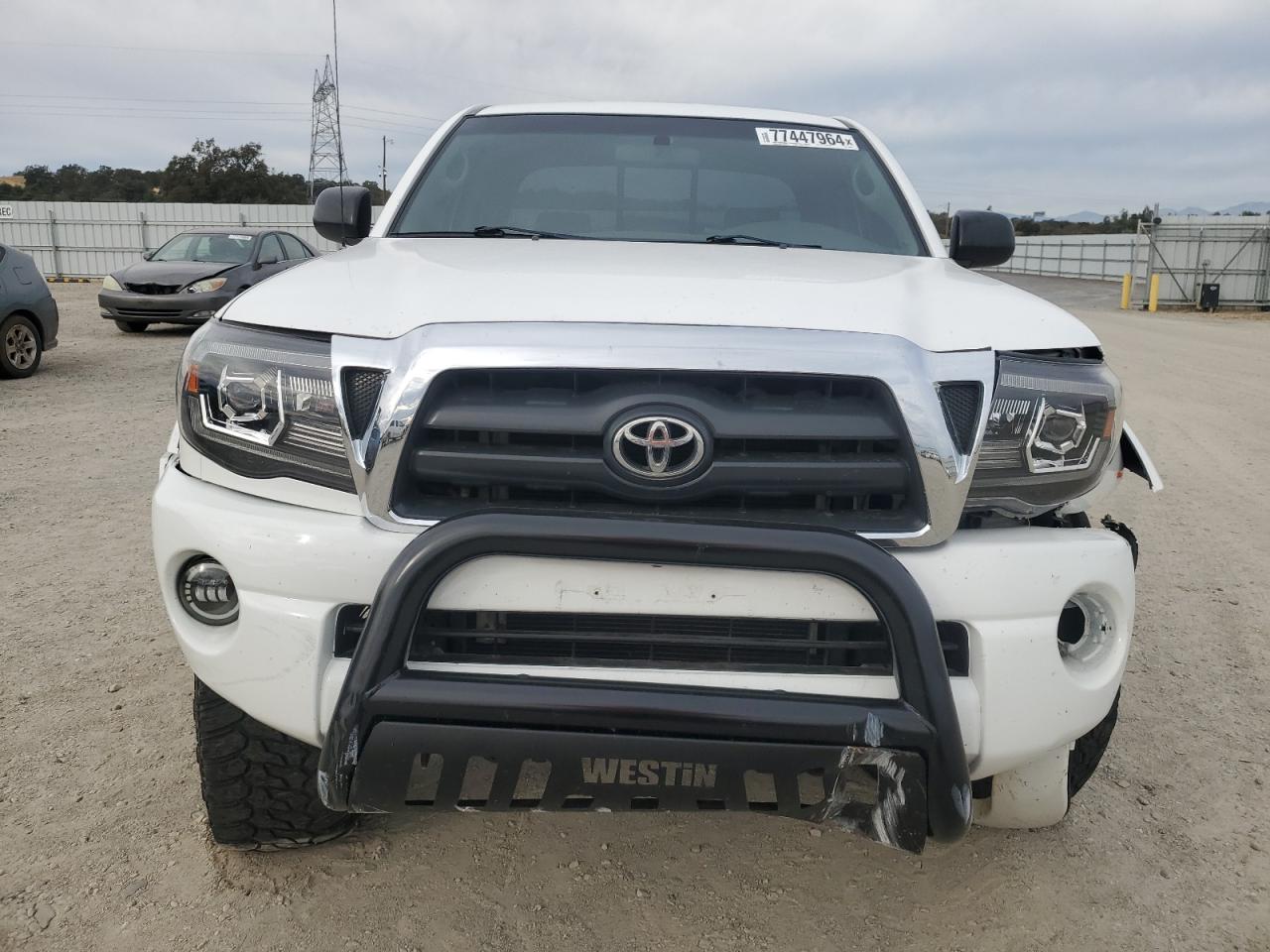 2005 Toyota Tacoma Prerunner Access Cab VIN: 5TETU62N85Z109682 Lot: 77447964