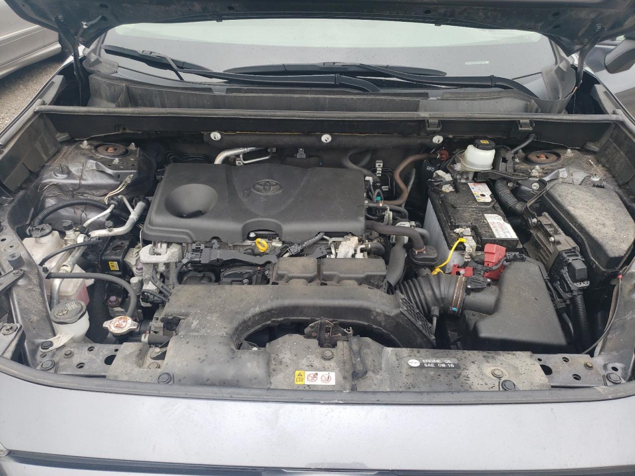 JTMF1RFV7KD501140 2019 Toyota Rav4 Le