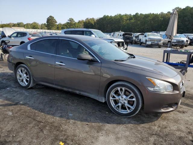  NISSAN MAXIMA 2013 Brown