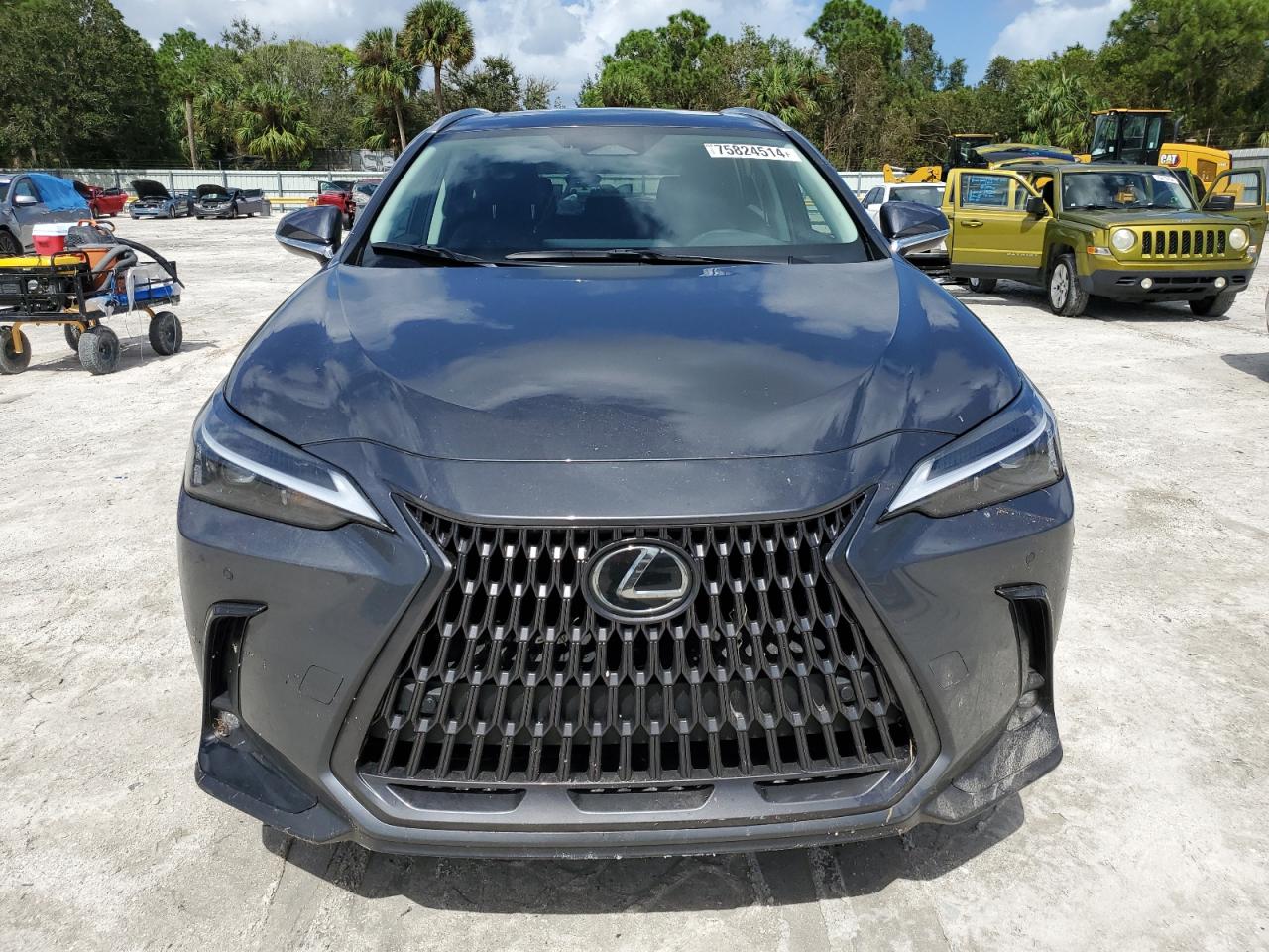 2025 Lexus Nx 250 Premium VIN: 2T2GDCAZXSC016387 Lot: 75824514