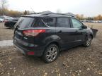 2013 FORD ESCAPE SEL for sale at Copart ON - COOKSTOWN