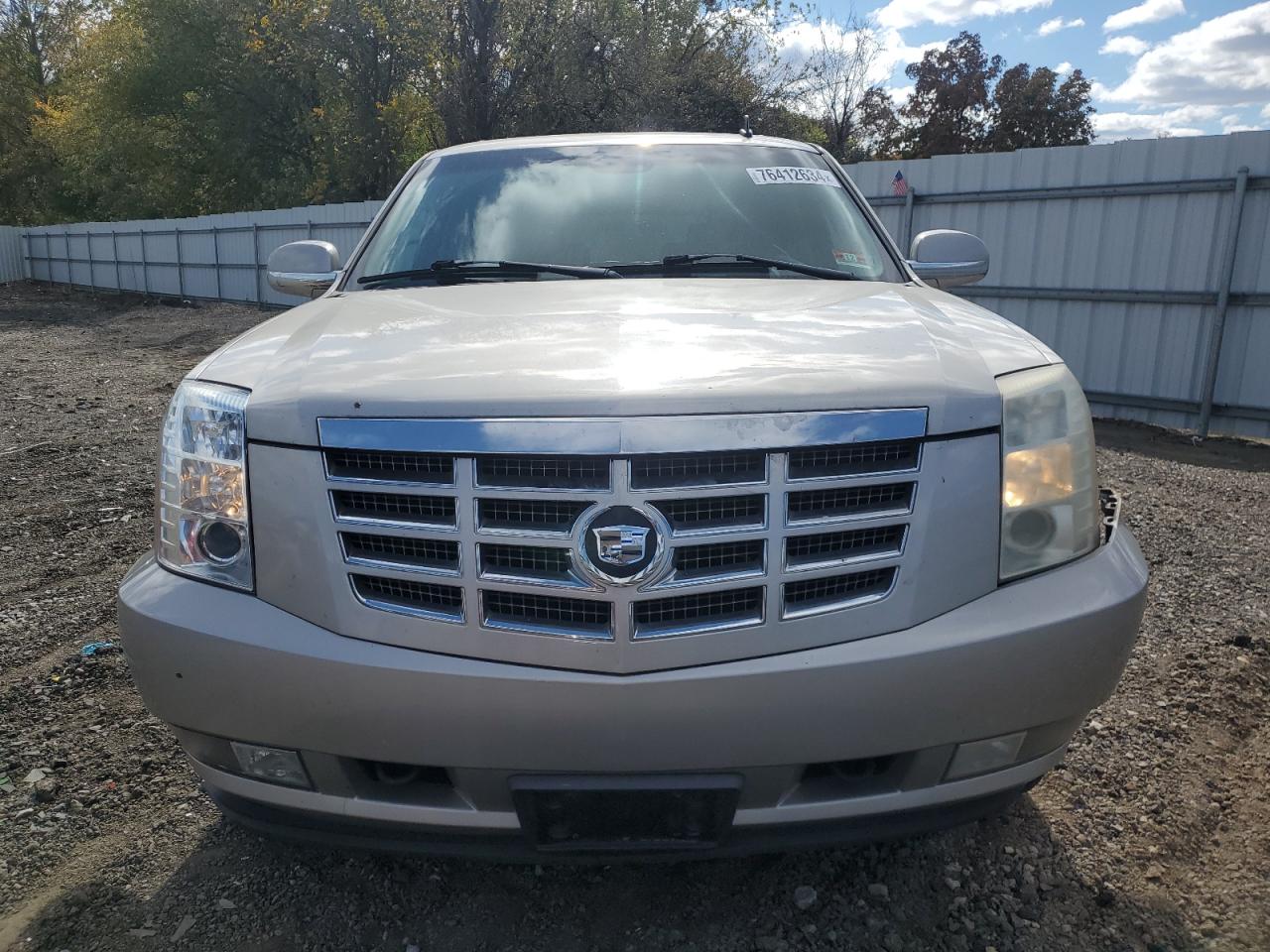 2007 Cadillac Escalade Luxury VIN: 1GYFK63827R287303 Lot: 76412634