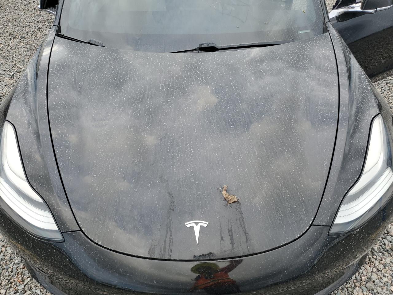 2019 Tesla Model 3 VIN: 5YJ3E1EA2KF445219 Lot: 73758274