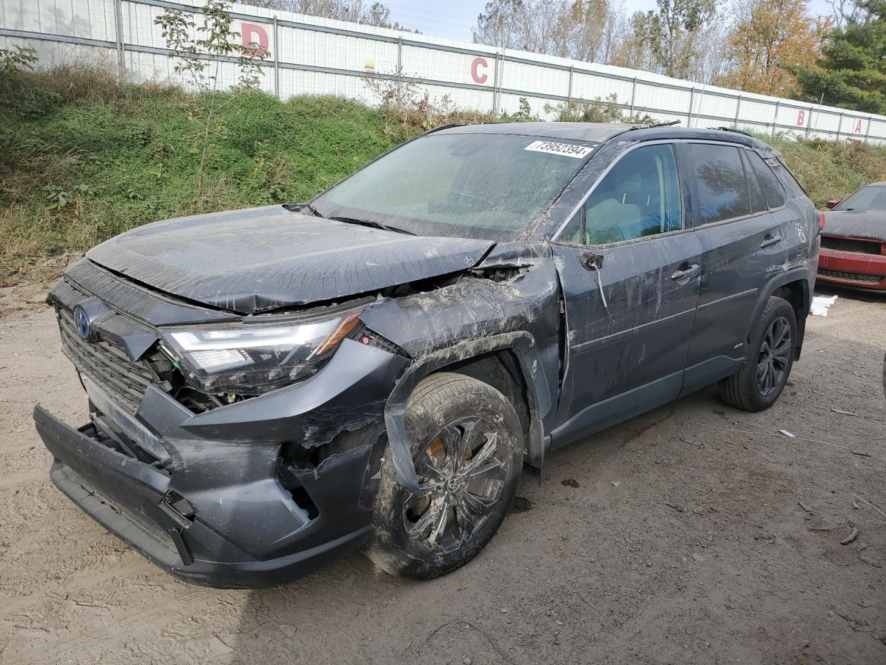 JTMB6RFV7RD123024 2024 Toyota Rav4 Xle Premium