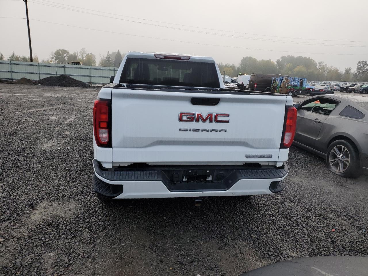 2020 GMC Sierra K1500 Elevation VIN: 1GTR9CED5LZ203685 Lot: 77215004