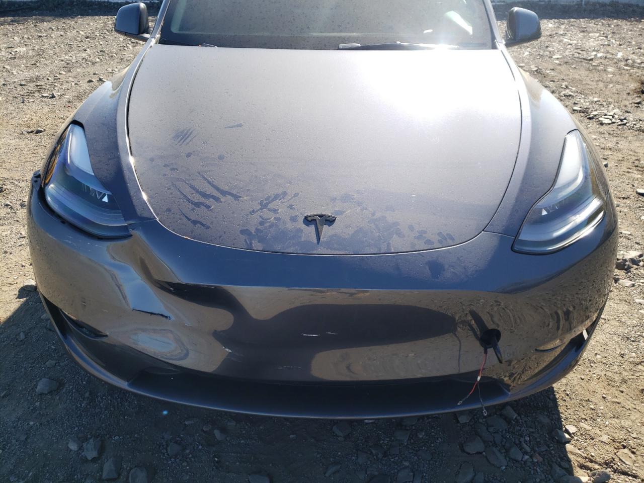 2023 Tesla Model Y VIN: 7SAYGDEE3PF795957 Lot: 77849164