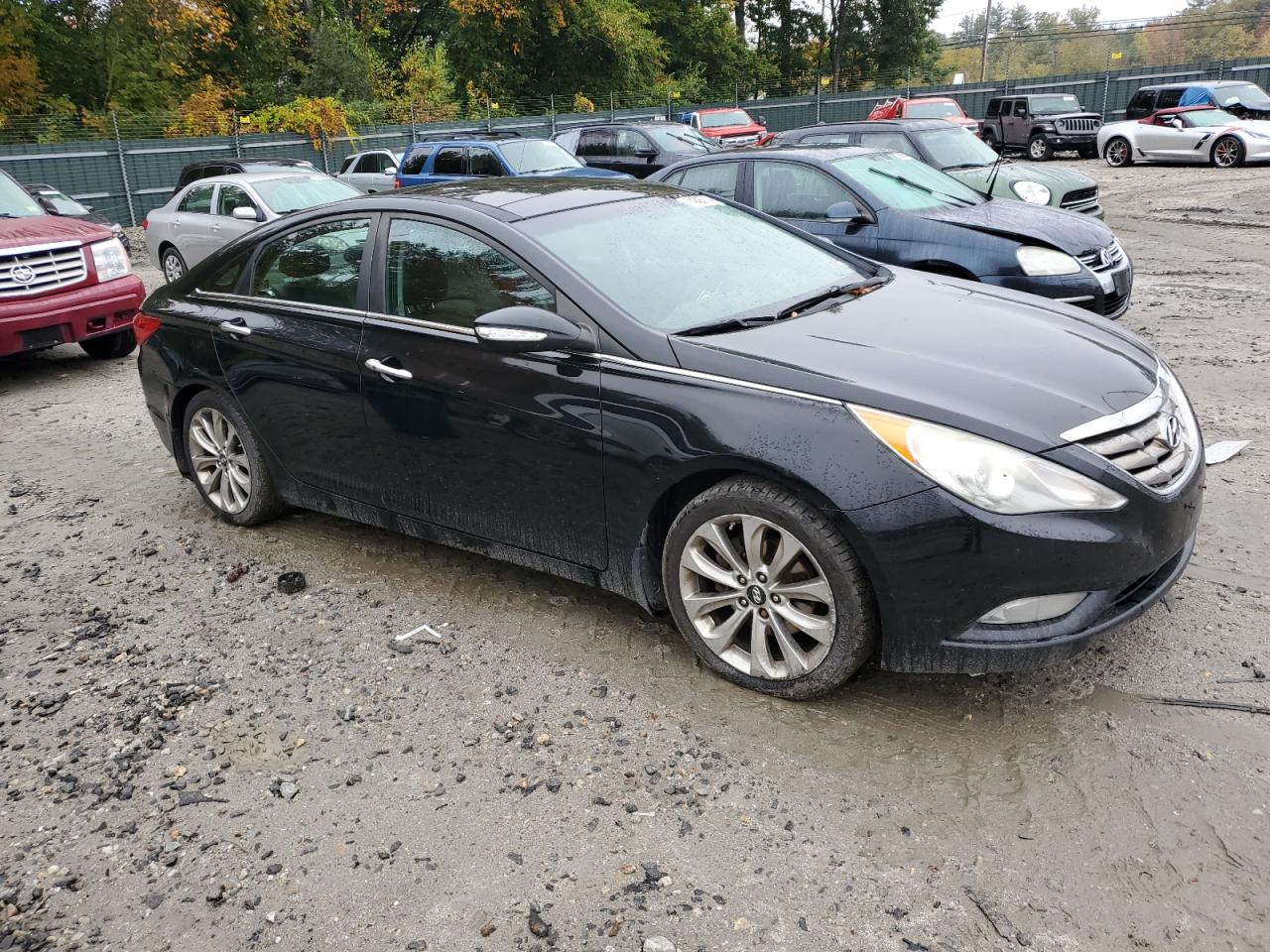 5NPEC4AB6DH541647 2013 Hyundai Sonata Se