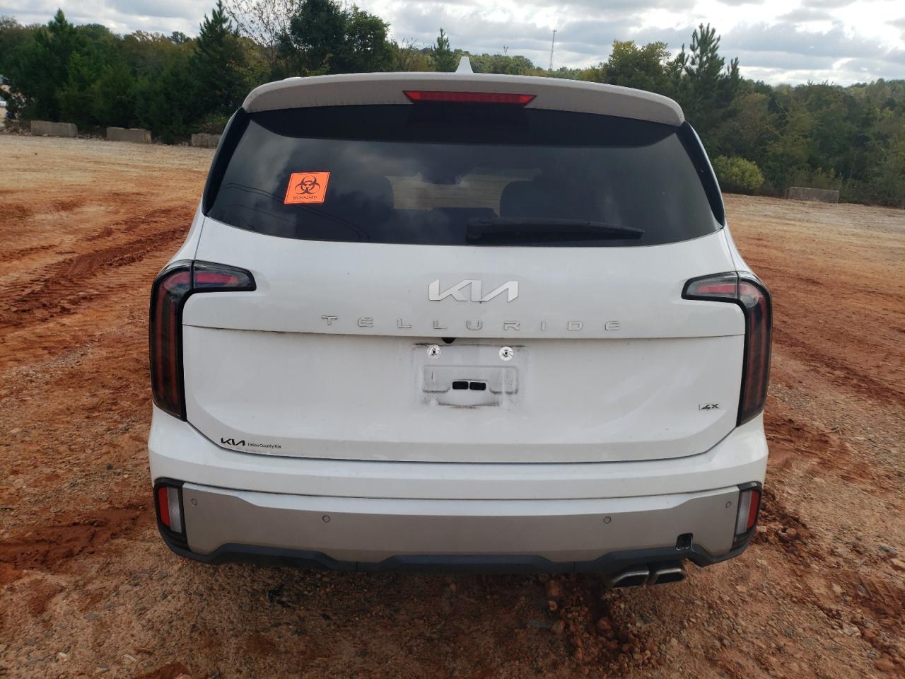 2023 Kia Telluride Sx VIN: 5XYP5DGC6PG393496 Lot: 73042394