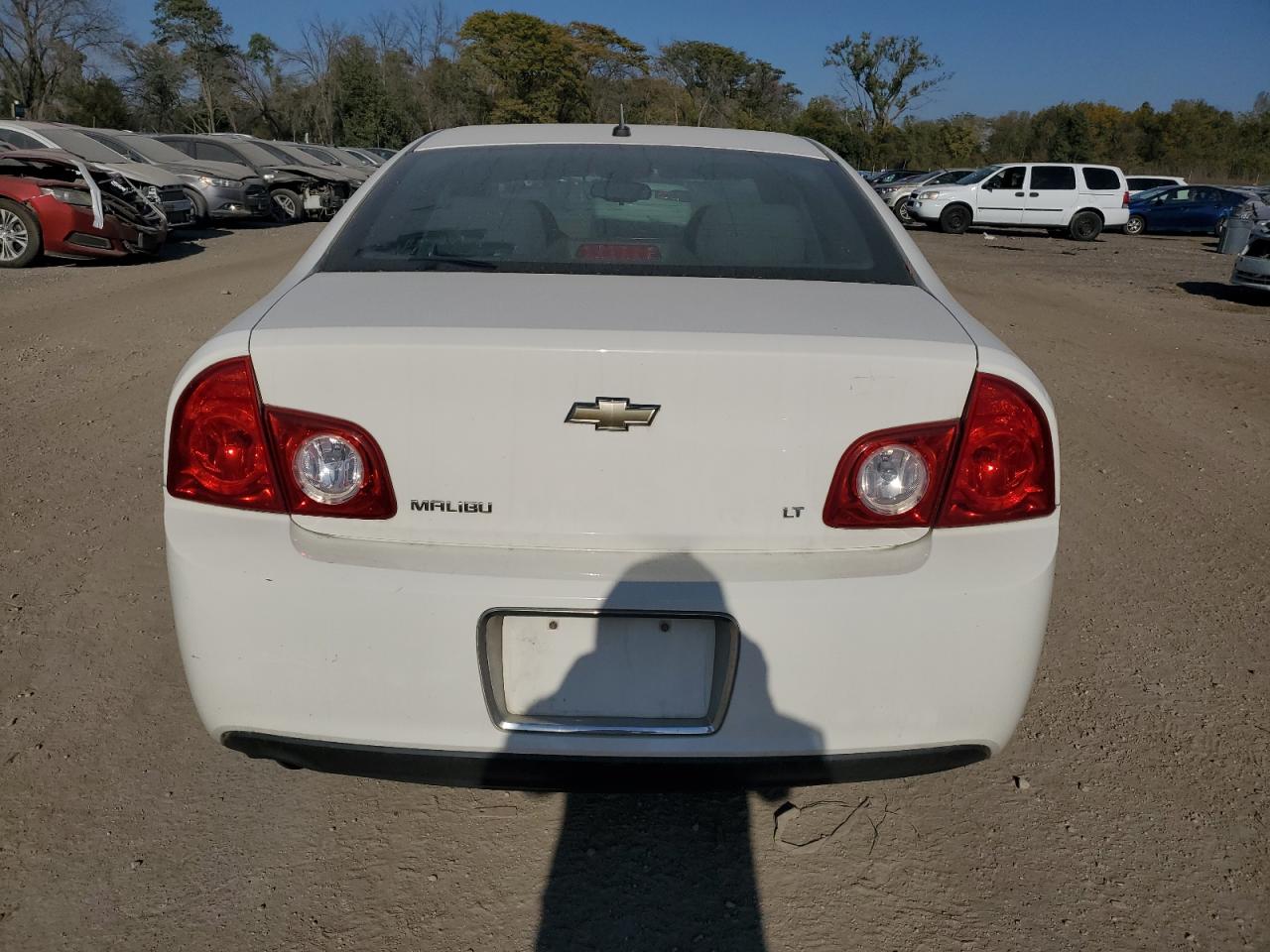 2008 Chevrolet Malibu 1Lt VIN: 1G1ZH57B28F174299 Lot: 76999074