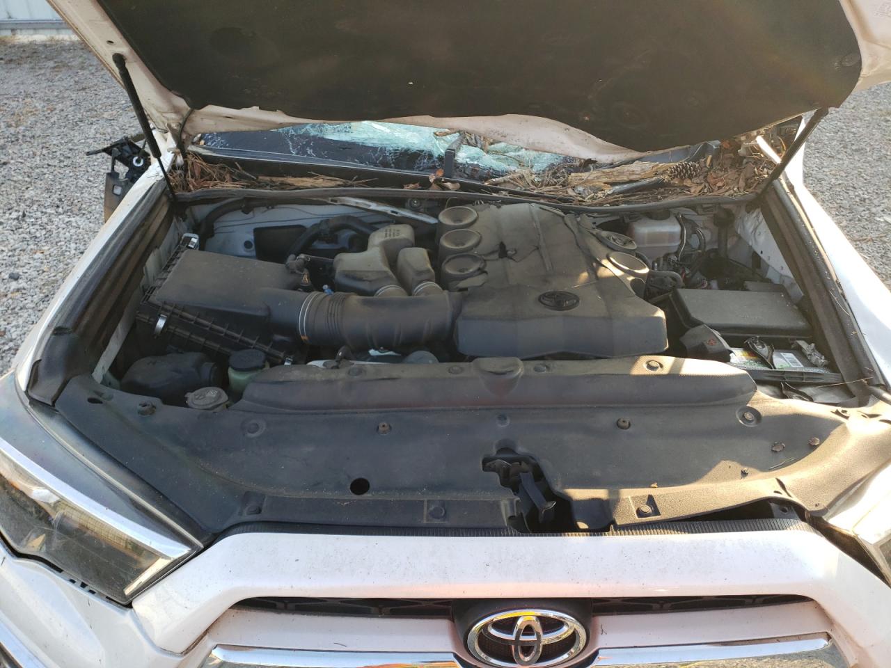 JTEBU5JR4J5581073 2018 Toyota 4Runner Sr5/Sr5 Premium