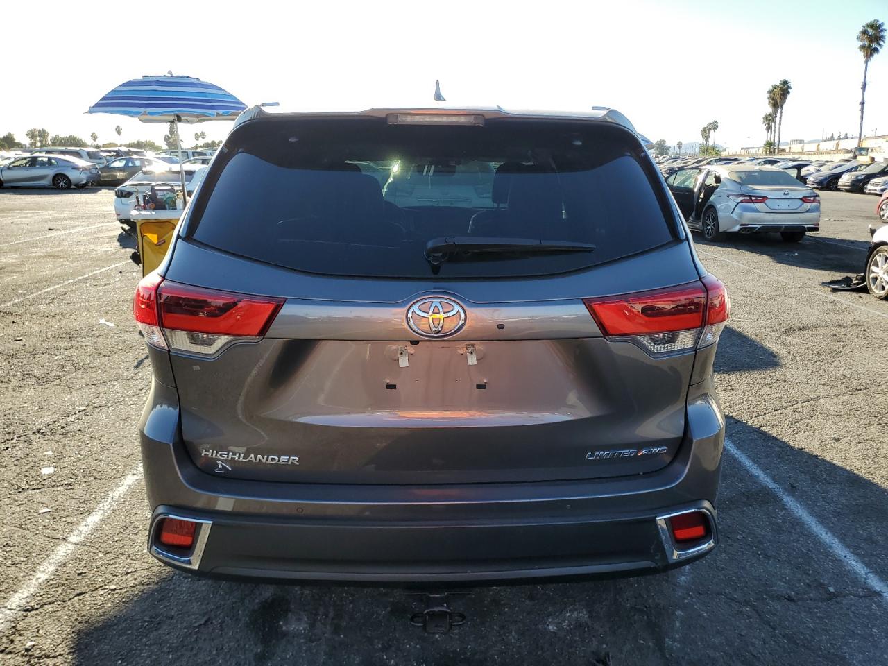 2019 Toyota Highlander Limited VIN: 5TDDZRFH1KS733246 Lot: 77037394