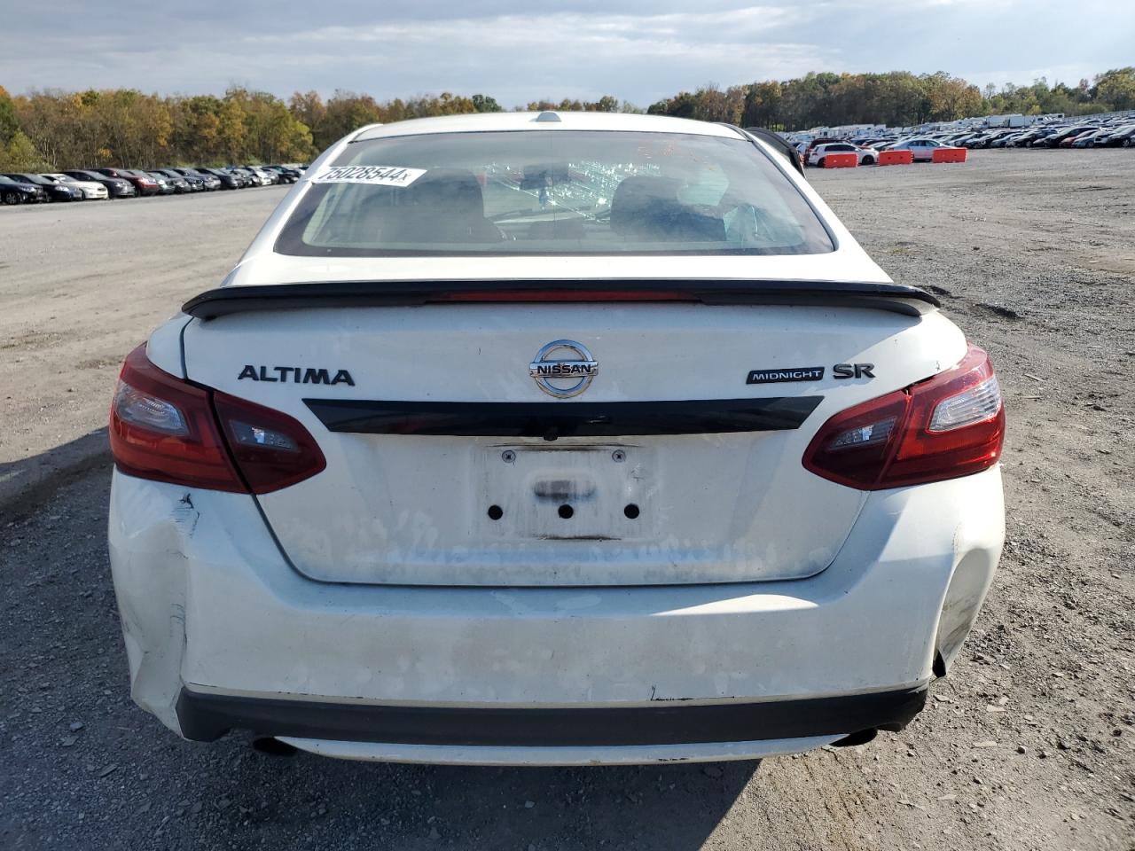 2018 Nissan Altima 2.5 VIN: 1N4AL3AP7JC181080 Lot: 75028544