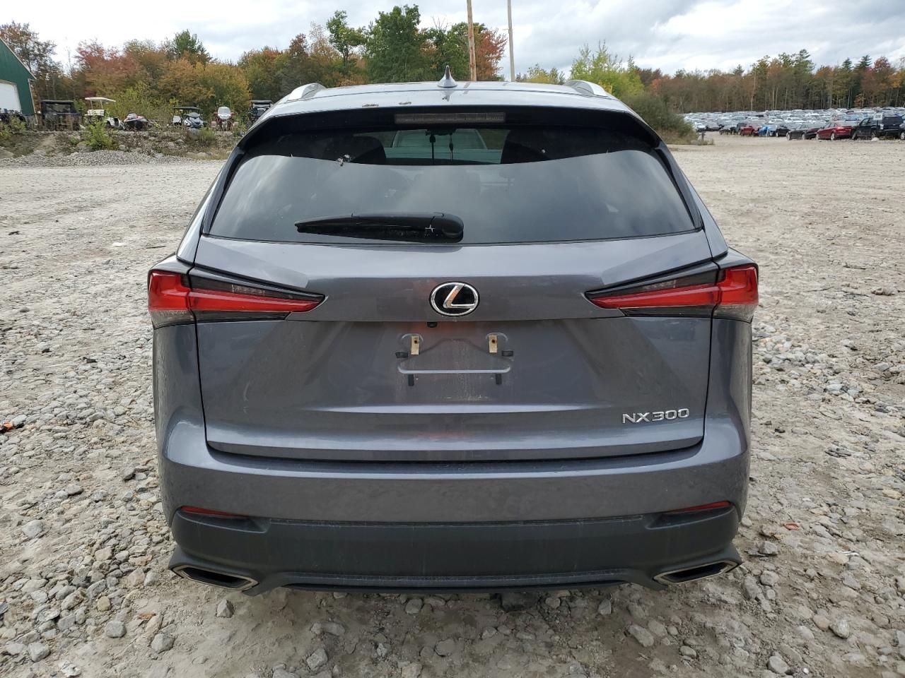 2021 Lexus Nx 300 Base VIN: JTJDARDZ4M2236556 Lot: 74327984