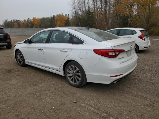  HYUNDAI SONATA 2016 Белы