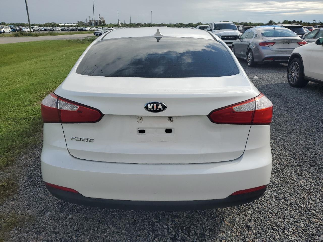 2014 Kia Forte Lx VIN: KNAFX4A68E5124394 Lot: 74525024