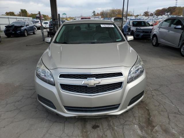  CHEVROLET MALIBU 2013 tan