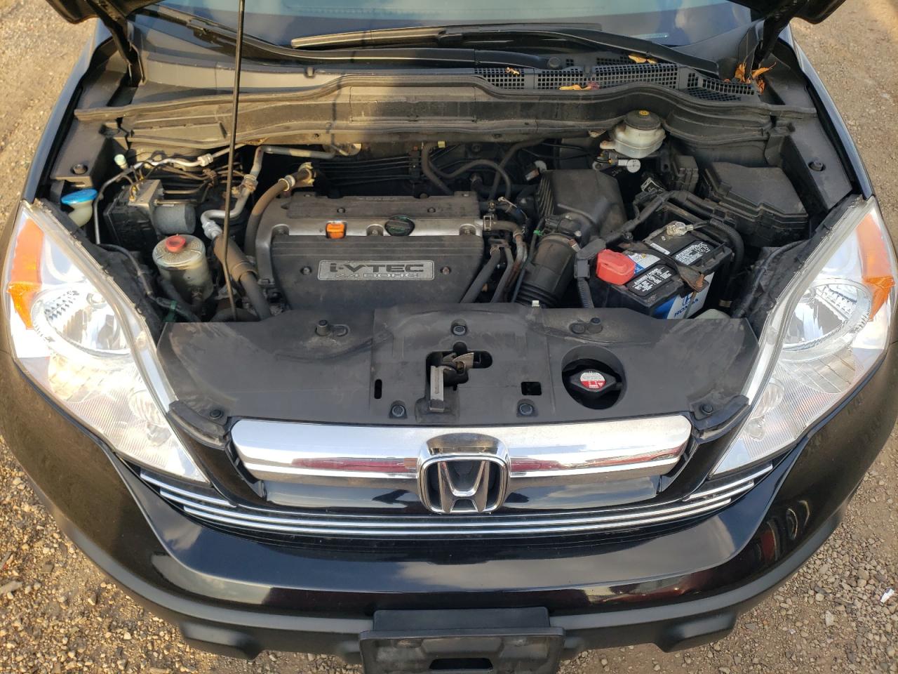 2008 Honda Cr-V Exl VIN: JHLRE48718C053207 Lot: 78368714