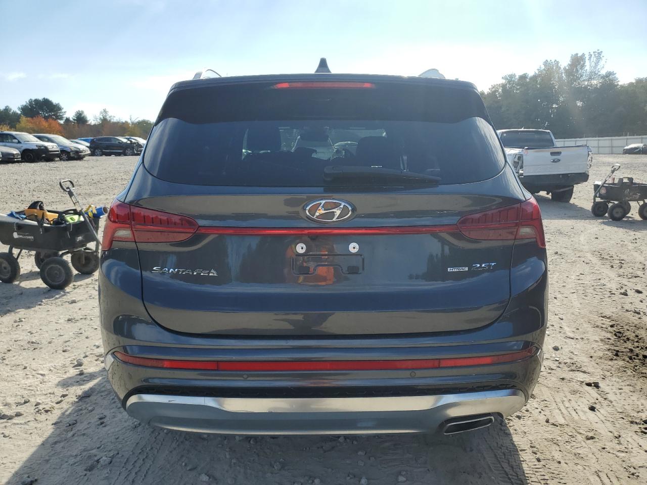 2022 Hyundai Santa Fe Calligraphy VIN: 5NMS5DAL7NH376356 Lot: 77010904