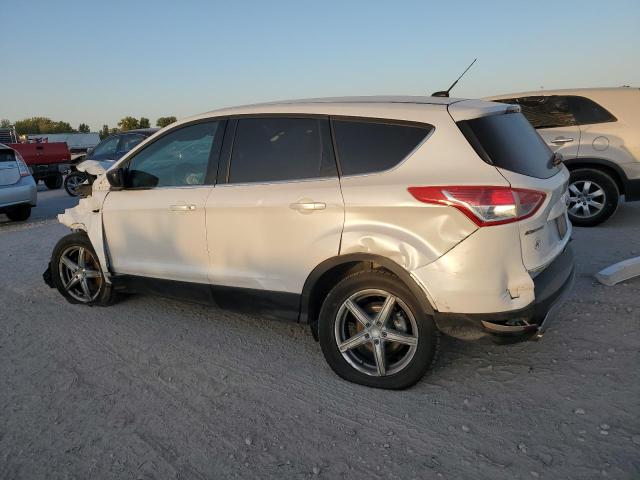  FORD ESCAPE 2016 White