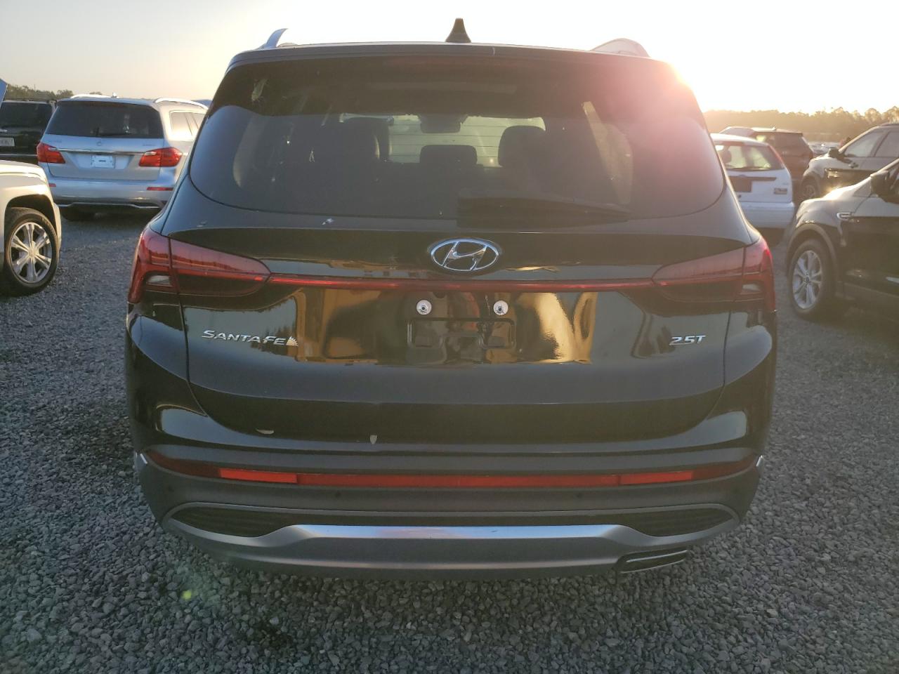 2023 Hyundai Santa Fe Limited VIN: 5NMS44ALXPH511156 Lot: 77250324