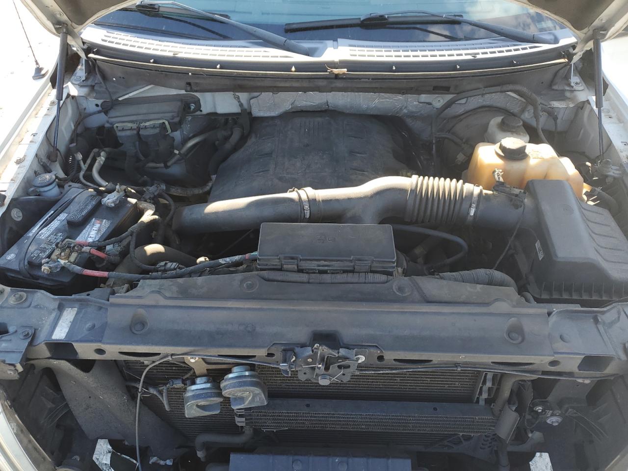 2012 Ford F150 VIN: 1FTNF1CT5CKD64925 Lot: 74139544