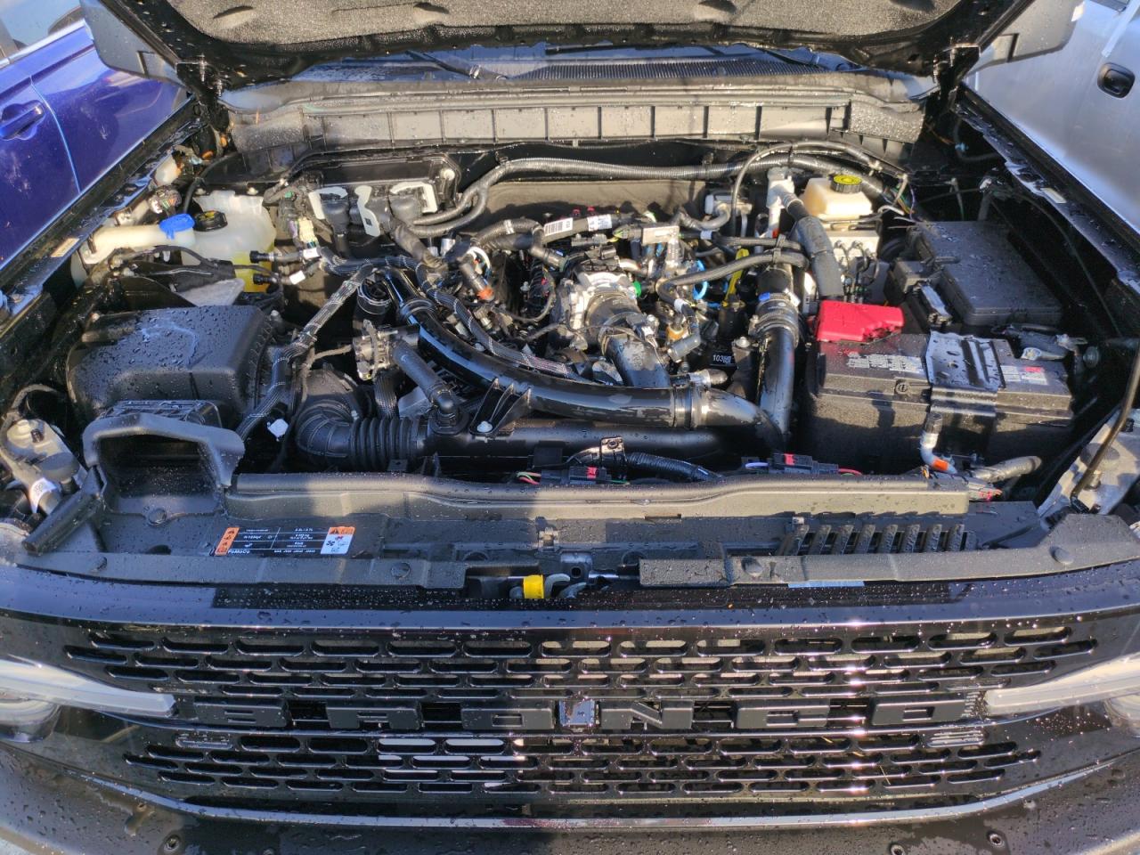 2023 Ford Bronco Base VIN: 1FMEE5DP3PLA84105 Lot: 74380334