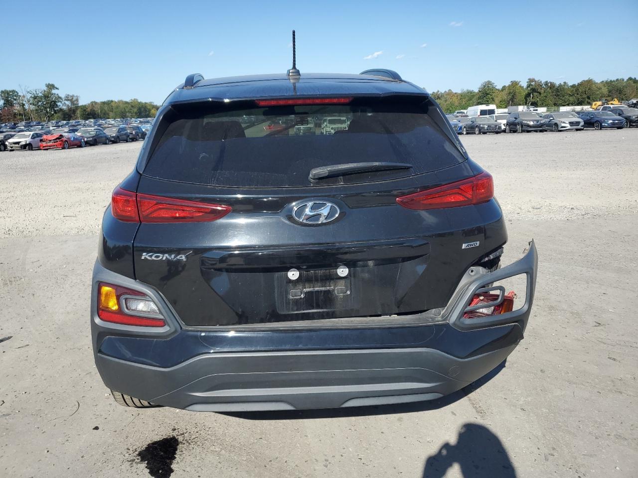 2020 Hyundai Kona Sel VIN: KM8K2CAA4LU494917 Lot: 75325604