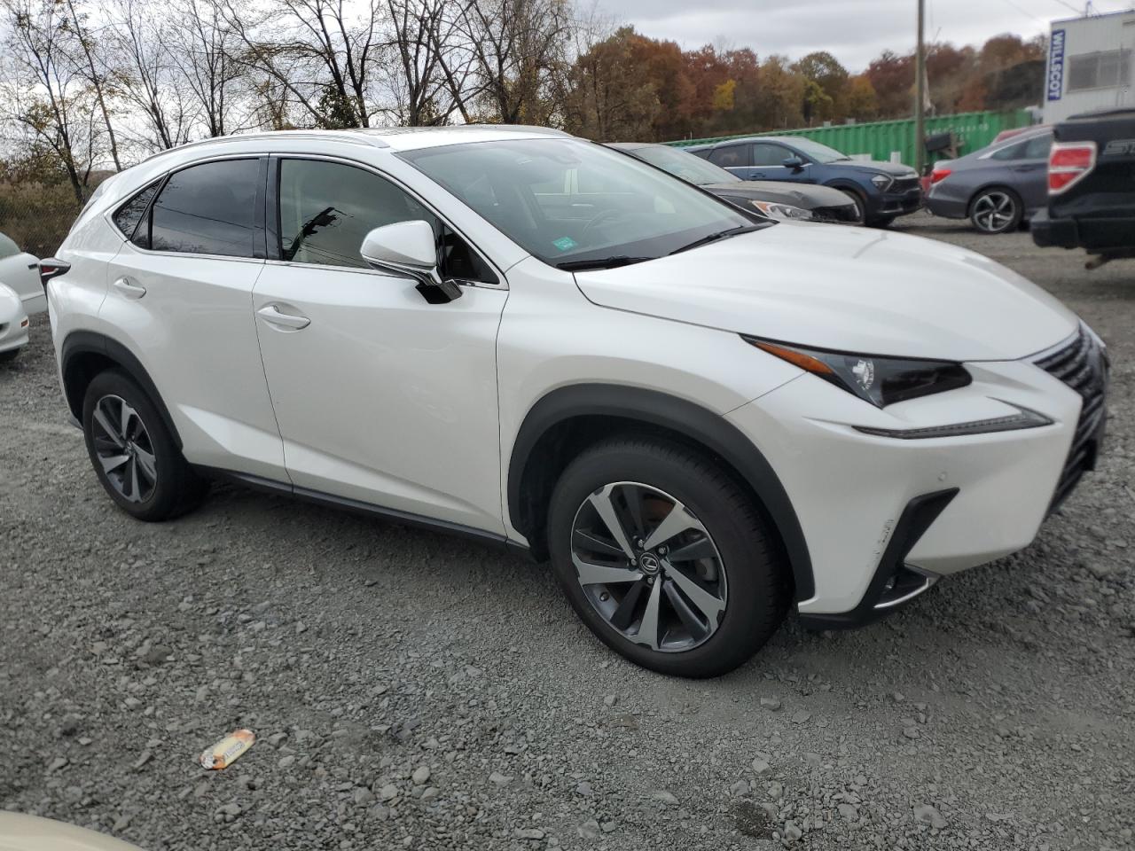 VIN JTJGARDZ8L2218377 2020 LEXUS NX no.4