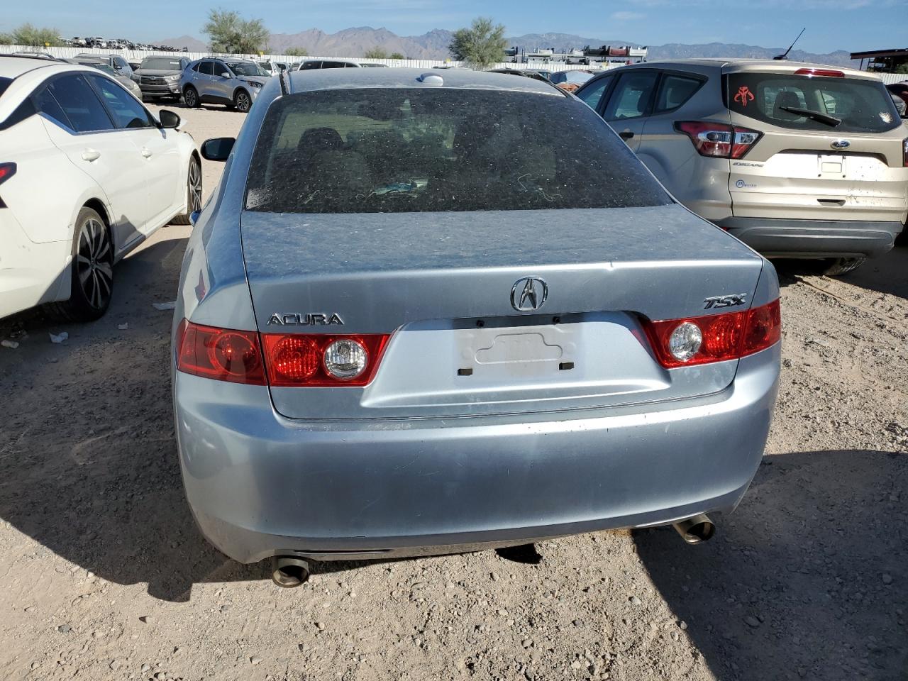 2005 Acura Tsx VIN: JH4CL96805C029413 Lot: 76920874