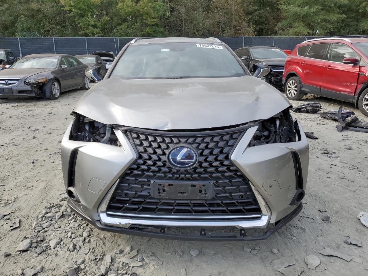 2020 Lexus UX - Image 5