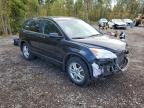 2011 HONDA CR-V EX for sale at Copart ON - COOKSTOWN