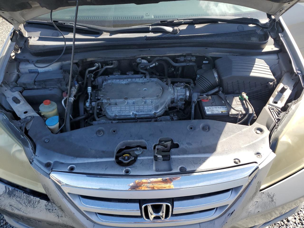 2005 Honda Odyssey Touring VIN: 5FNRL38865B086210 Lot: 77191774