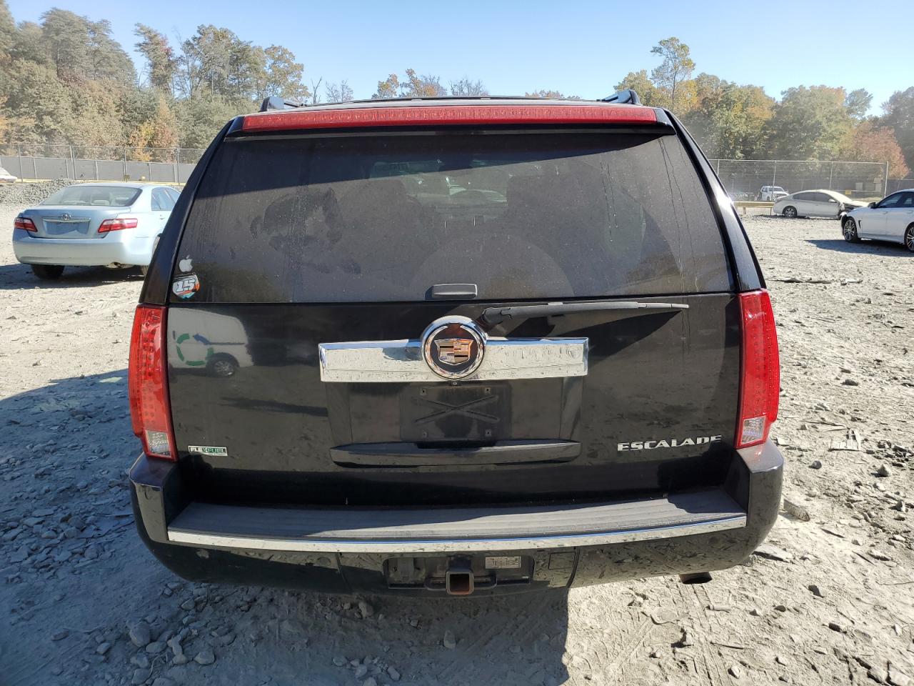 2010 Cadillac Escalade Esv Premium VIN: 1GYUKJEFXAR249475 Lot: 77432654