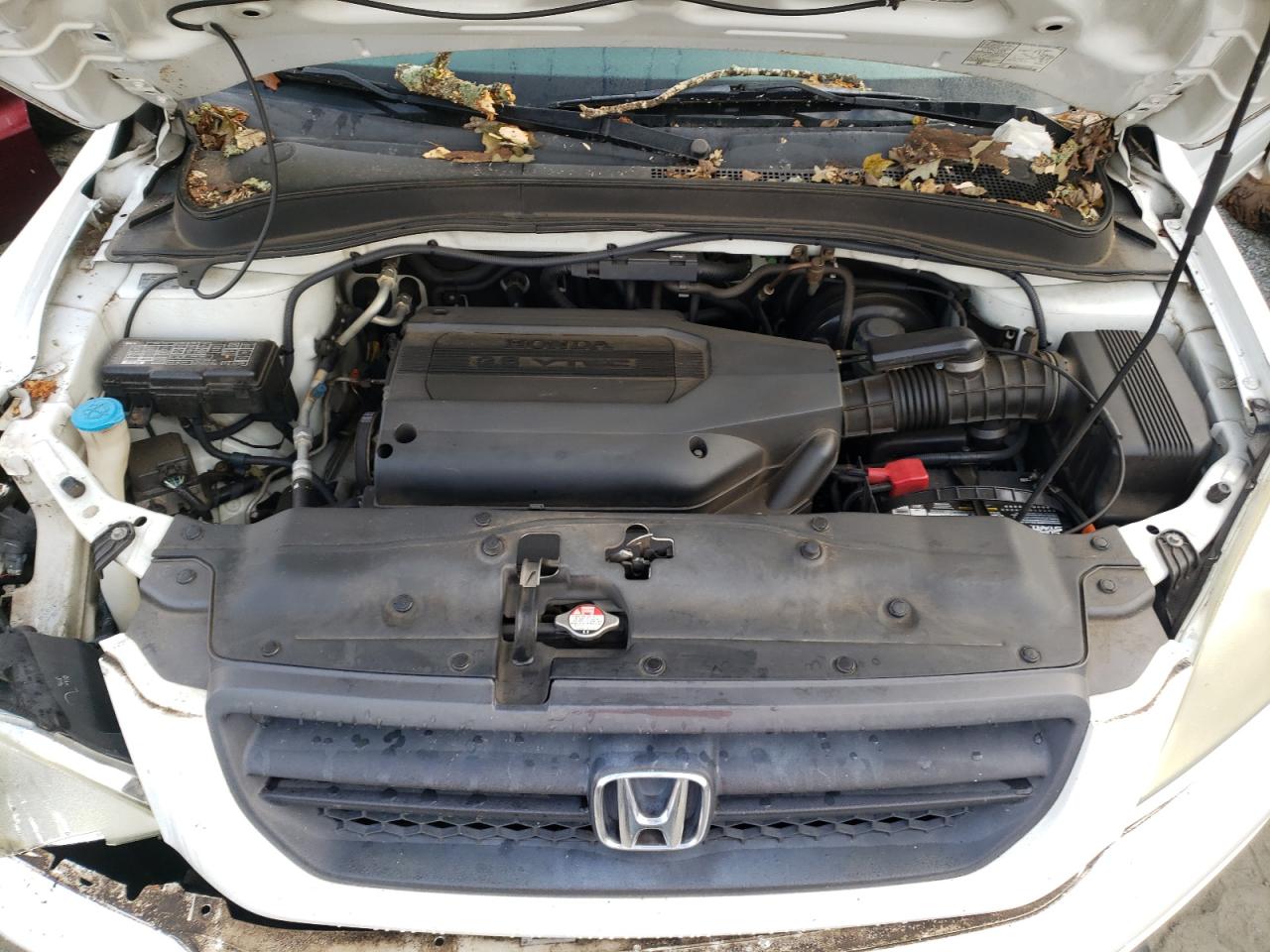 2003 Honda Pilot Exl VIN: 2HKYF18523H563713 Lot: 73994744