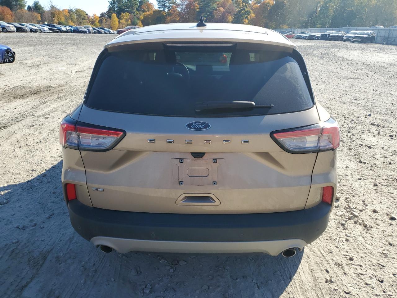 2021 Ford Escape Se VIN: 1FMCU0G66MUA67420 Lot: 77365724