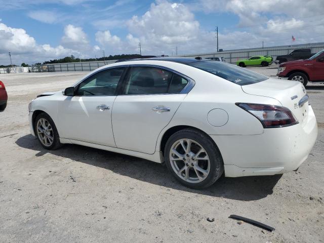  NISSAN MAXIMA 2014 Белы