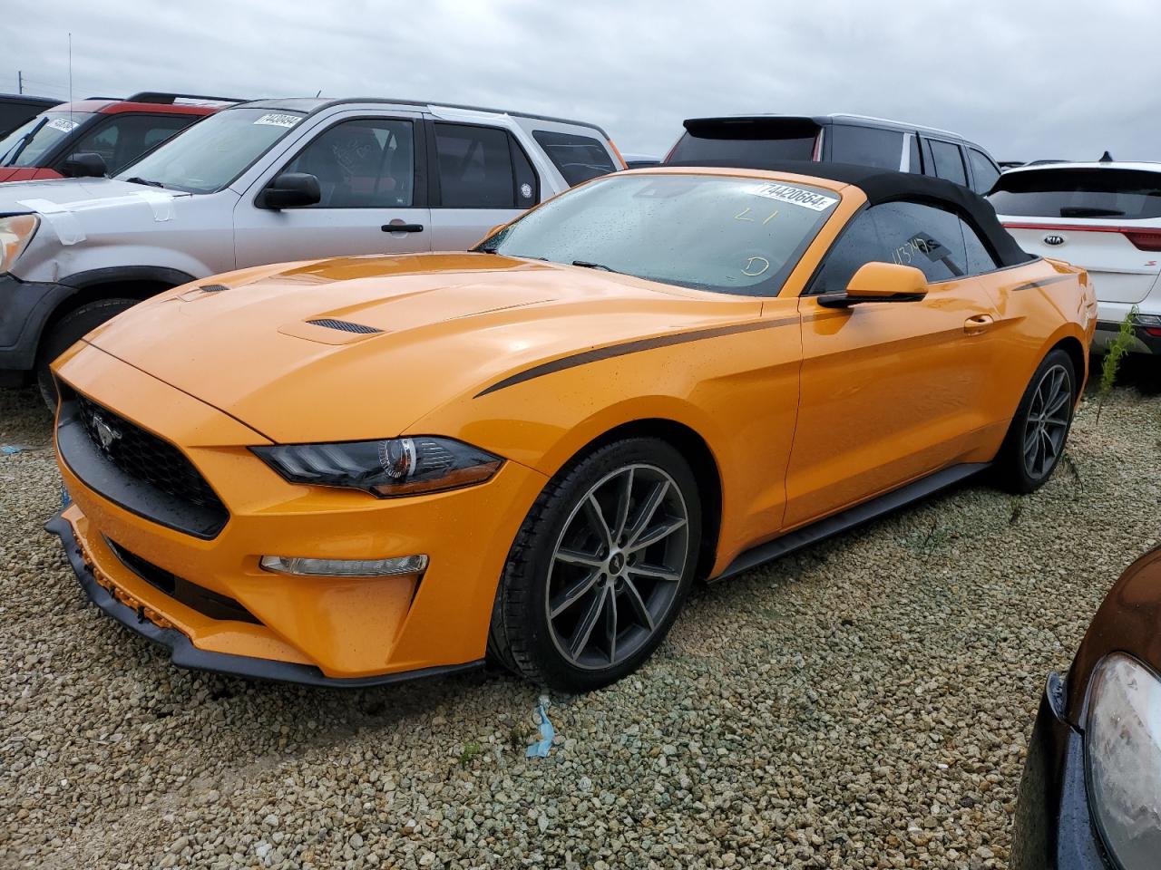 2019 Ford Mustang VIN: 1FATP8UH5K5149832 Lot: 74420664