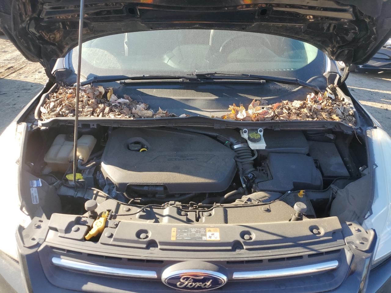 2014 Ford Escape - Image 12