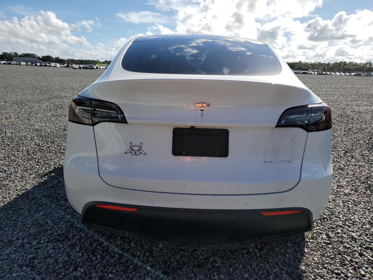 2020 Tesla Model Y VIN: 5YJYGDEE4LF031168 Lot: 74481204