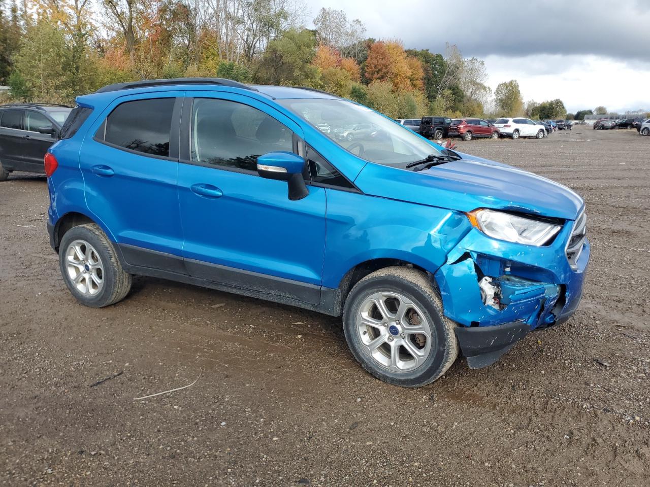 2019 Ford Ecosport Se VIN: MAJ6S3GL1KC273137 Lot: 76008154